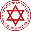 השכרת מסכים