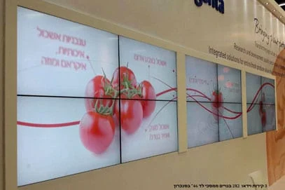 קיר וידאו מחיר